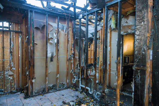 Professional Fire Damage Repair technician working in Long Creek, IL